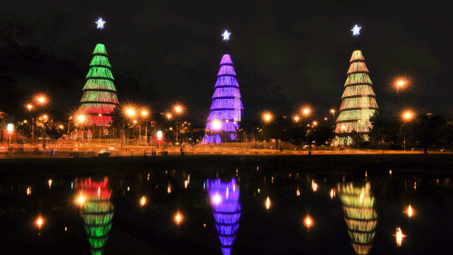 2013-12-21_PT-BR8528049456_C381rvores-de-Natal-iluminam-o-lago-no-Parque-do-Ibirapuera-em-SC3A3o-Paulo.jpg