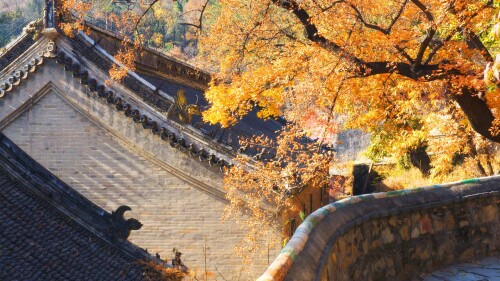 2014-10-23_ChinaAutumnScene_ZH-CN13660301260_1920x1080.jpg