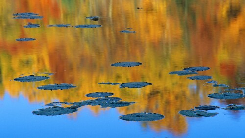 2016-09-26_PondFoliage_FR-CA6448312411_1920x1080.jpg