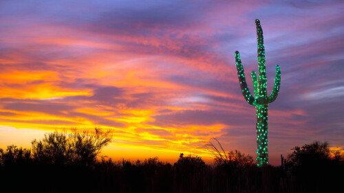 2016-12-20_SaguaroLights_1920x1080.jpg