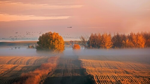 AlbertaThanksgiving_EN-US0590725789_1920x1080.jpg