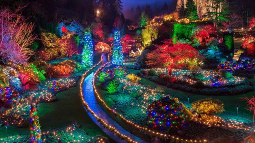 Christmas-lights-at-the-Butchart-Gardens-in-British-Columbia.jpg