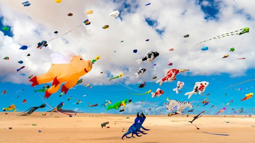 Cometas-en-la-playa-de-Corralejo-Fuerteventura.jpg