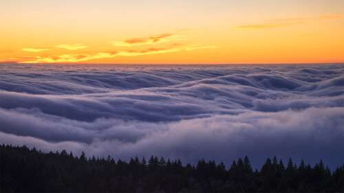 Fog-over-Mount-Tamalpais-State-Park-California.jpg