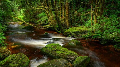 Franklin-Gordon-Wild-Rivers-National-Park-Tasmania.jpg