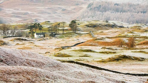 Hoar-frost-on-vegetation-near-Coniston-Lake-District.jpg