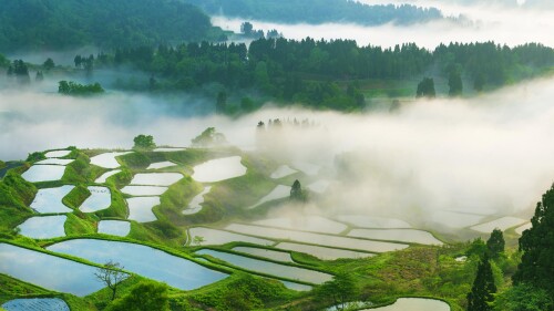 Hoshitoge-Rice-Terraces-Tokamachi-City-Niigata-Prefecture.jpg