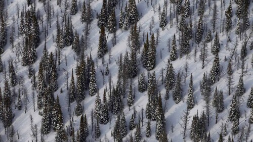 Mount-Goodsir-and-surroundings-in-Yoho-National-Park-B.C..jpg