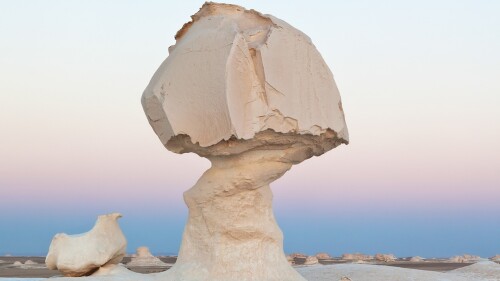 Mushroom-Rock-with-Chicken-in-White-Desert-National-Park-Farafra-Egypt.jpg