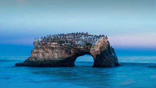 Natural-Bridges-State-Beach-Big-Sur-Santa-Cruz-County-California-USA.jpg