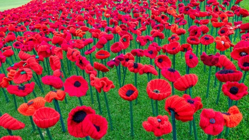 PoppyProject_1920x1080.jpg