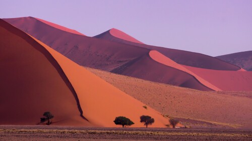 Sossusvlei-sand-dunes-Tsauchab-Valley-Namib-Naukluft-National-Park-Namibia.jpg