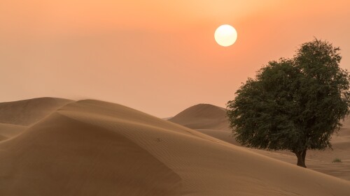 Sunset-over-Desert-UAE.jpg