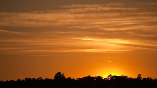 Sunset-over-trees-on-Wimbledon-Hill-London-SW19-England-UK.jpg