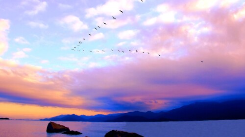 Sunset-with-white-and-magenta-clouds-blue-mountains-and-flock-of-birds-Southern-Brazil.jpg