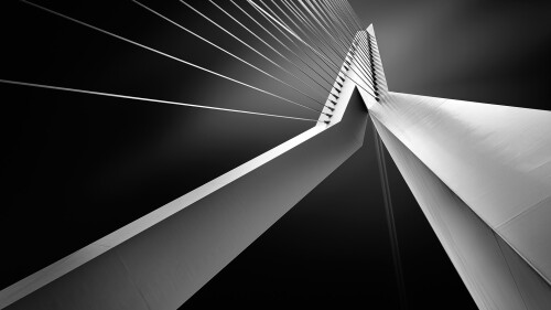 The-Erasmus-Bridge-Erasmusbrug-detail-Rotterdam-Netherlands.jpg