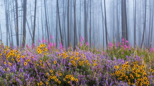 The-Kettle-River-Recreation-Area-in-British-Columbia-Canada.jpg