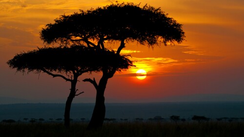 Typical-sunset-in-Africa-Maasai-Mara-National-Reserve-Narok-County-Kenya.jpg