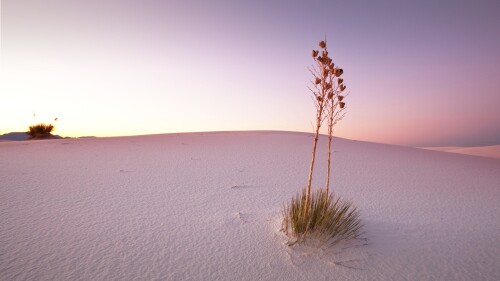 White-Sands-National-Monument-at-dusk-New-Mexico-USA.jpg