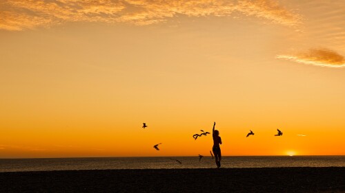 Woman-running-on-coastline-golden-sunset-hours-in-New-Zealand.jpg